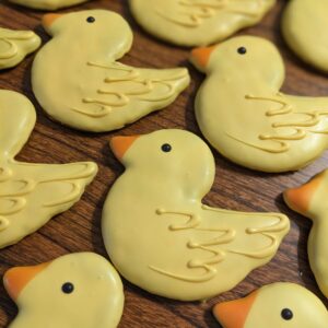 Easter Singles - Duckling
