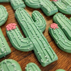 Cinco de Mayo Singles - Cactus