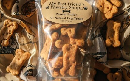 Treat Bags