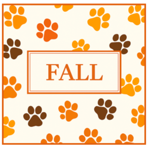 Fall