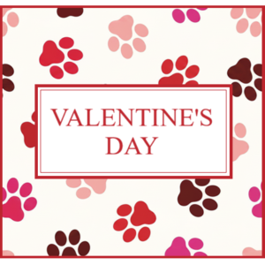 Valentine's Day